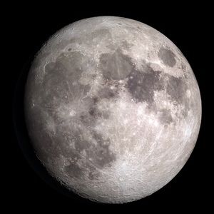 Meet your Posher, Gillian